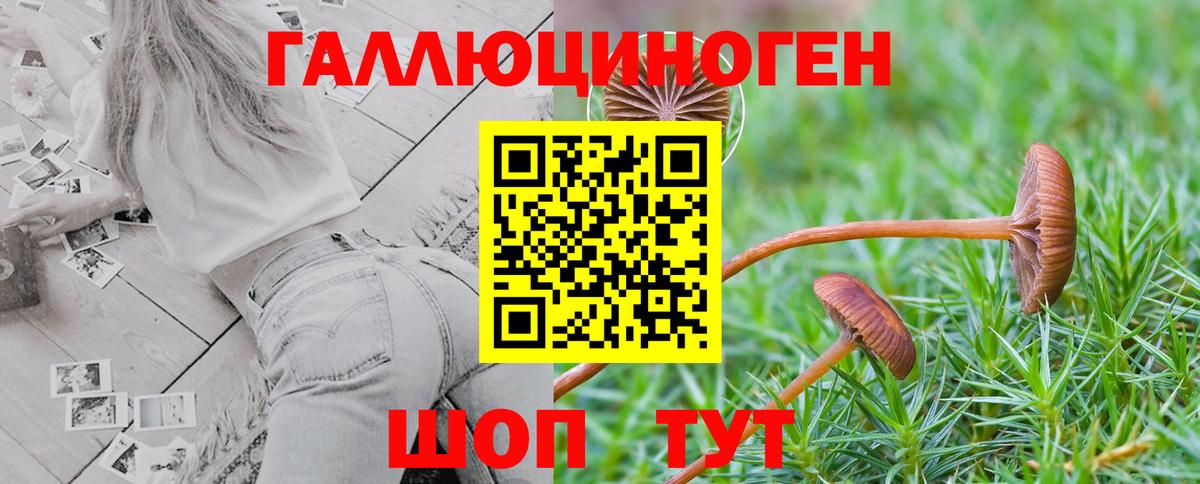 Псилоцибиновые грибы GOLDEN TEACHER  Вход с VPN  Гусиноозёрск 